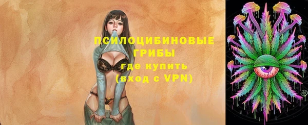 2c-b Абинск
