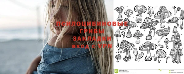 2c-b Абинск