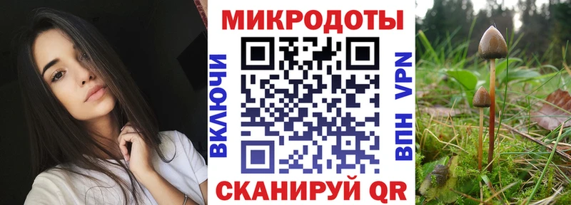 где купить наркоту  Сокол  blacksprut маркетплейс  Галлюциногенные грибы MAGIC MUSHROOMS 