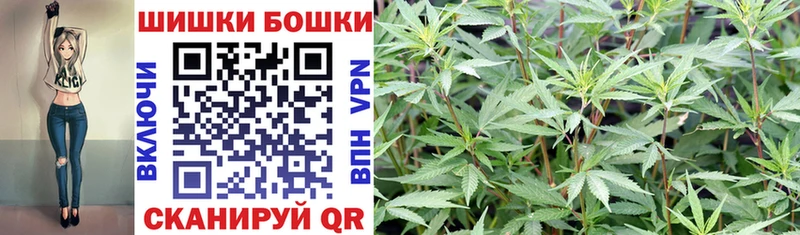 Конопля индика Сокол